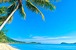 Palm Cove Beach Australia